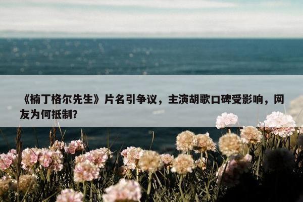 《楠丁格尔先生》片名引争议，主演胡歌口碑受影响，网友为何抵制？