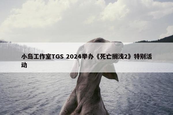 小岛工作室TGS 2024举办《死亡搁浅2》特别活动