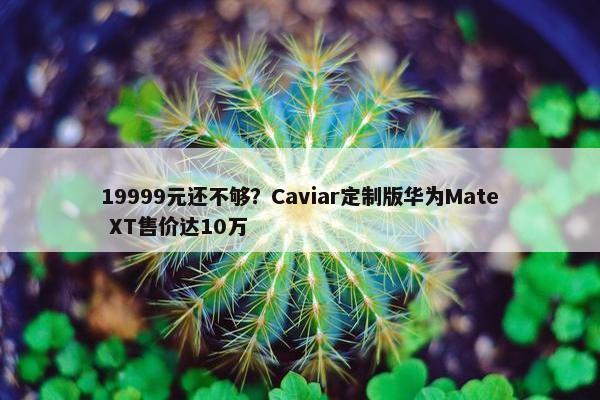 19999元还不够？Caviar定制版华为Mate XT售价达10万