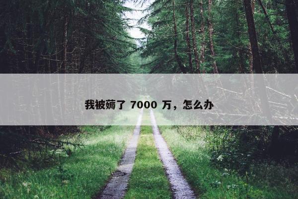 我被薅了 7000 万，怎么办