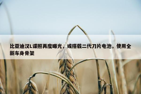 比亚迪汉L谍照再度曝光，或搭载二代刀片电池，使用全新车身骨架