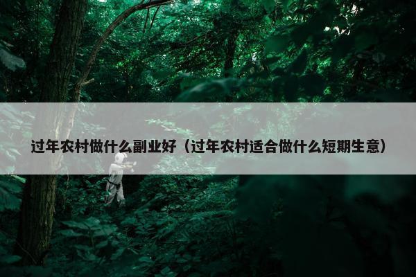 过年农村做什么副业好（过年农村适合做什么短期生意）