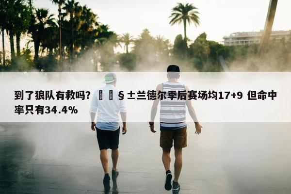 到了狼队有救吗？🧱兰德尔季后赛场均17+9 但命中率只有34.4%