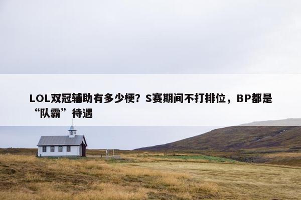 LOL双冠辅助有多少梗？S赛期间不打排位，BP都是“队霸”待遇