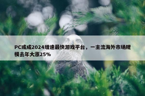 PC或成2024增速最快游戏平台，一主流海外市场规模去年大涨25%