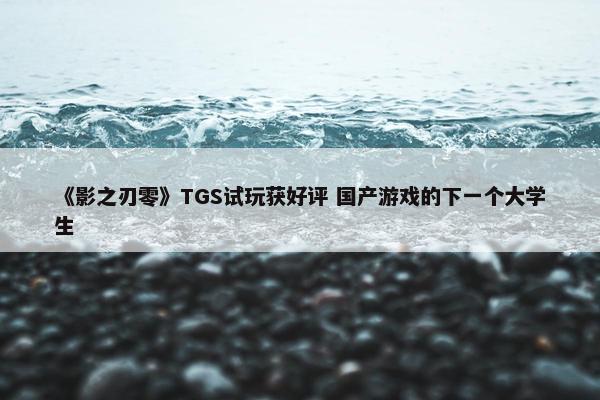 《影之刃零》TGS试玩获好评 国产游戏的下一个大学生