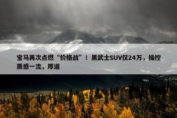 宝马再次点燃“价格战”！黑武士SUV仅24万，操控质感一流，厚道