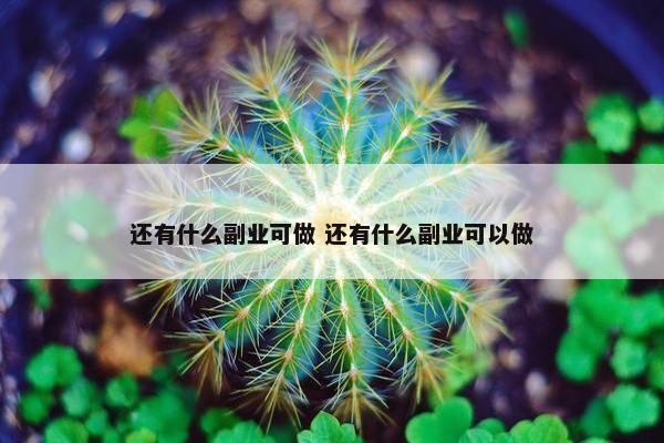 还有什么副业可做 还有什么副业可以做