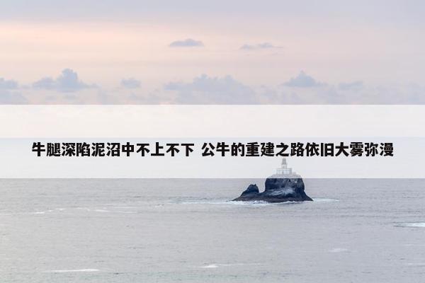 牛腿深陷泥沼中不上不下 公牛的重建之路依旧大雾弥漫