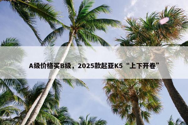 A级价格买B级，2025款起亚K5“上下开卷”