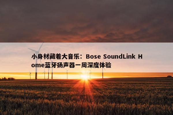 小身材藏着大音乐：Bose SoundLink Home蓝牙扬声器一周深度体验