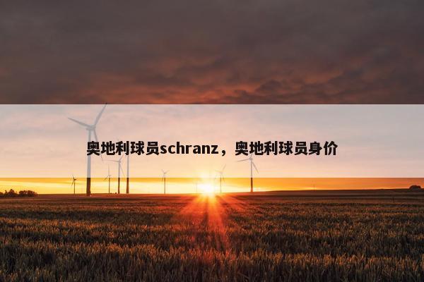 奥地利球员schranz，奥地利球员身价