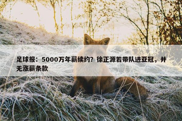 足球报：5000万年薪续约？徐正源若带队进亚冠，并无涨薪条款