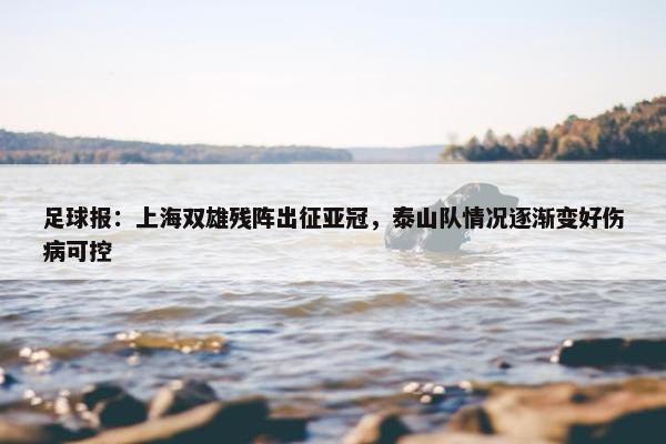 足球报：上海双雄残阵出征亚冠，泰山队情况逐渐变好伤病可控