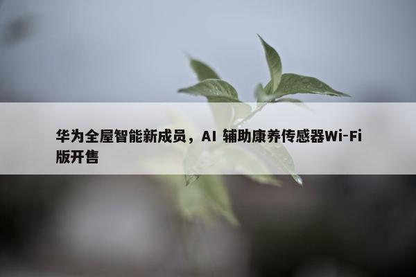 华为全屋智能新成员，AI 辅助康养传感器Wi-Fi版开售