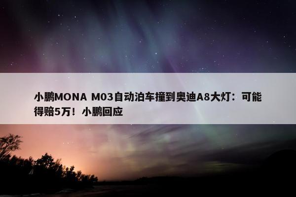 小鹏MONA M03自动泊车撞到奥迪A8大灯：可能得赔5万！小鹏回应