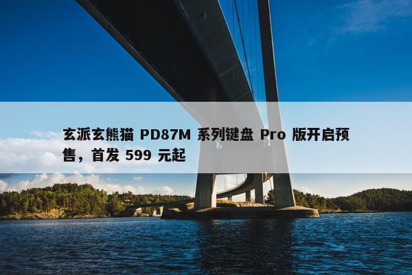 玄派玄熊猫 PD87M 系列键盘 Pro 版开启预售，首发 599 元起