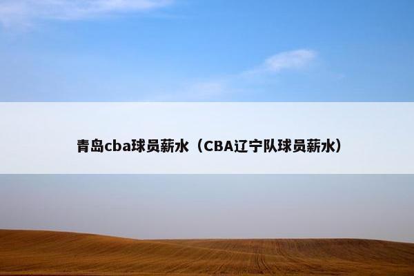 青岛cba球员薪水（CBA辽宁队球员薪水）