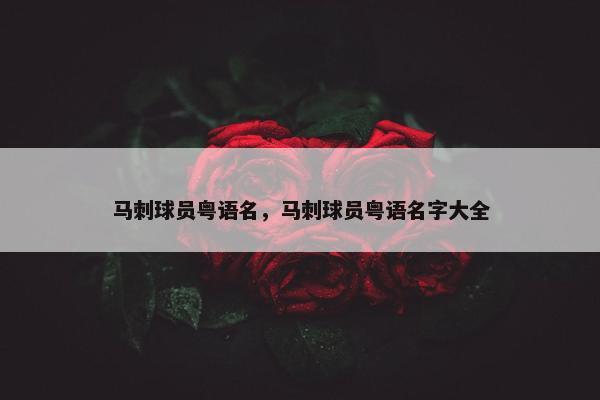 马刺球员粤语名，马刺球员粤语名字大全