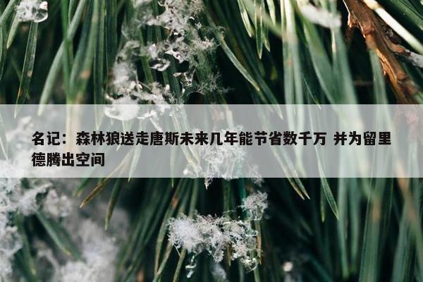 名记：森林狼送走唐斯未来几年能节省数千万 并为留里德腾出空间