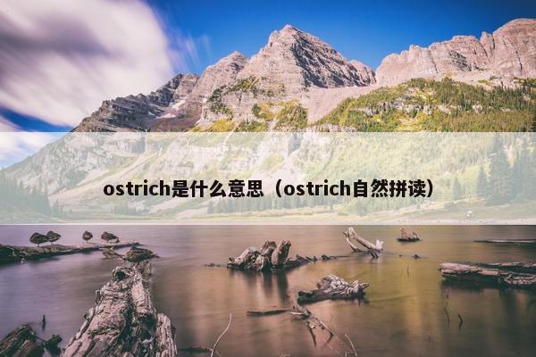 ostrich是什么意思（ostrich自然拼读）