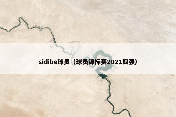 sidibe球员（球员锦标赛2021四强）