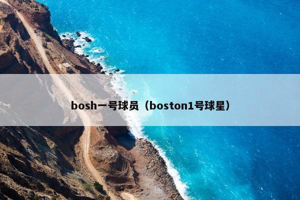 bosh一号球员（boston1号球星）