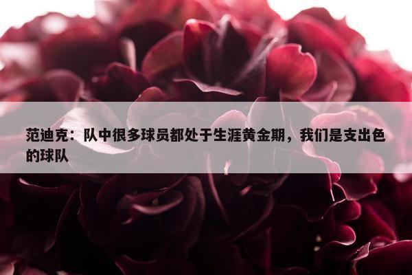 范迪克：队中很多球员都处于生涯黄金期，我们是支出色的球队