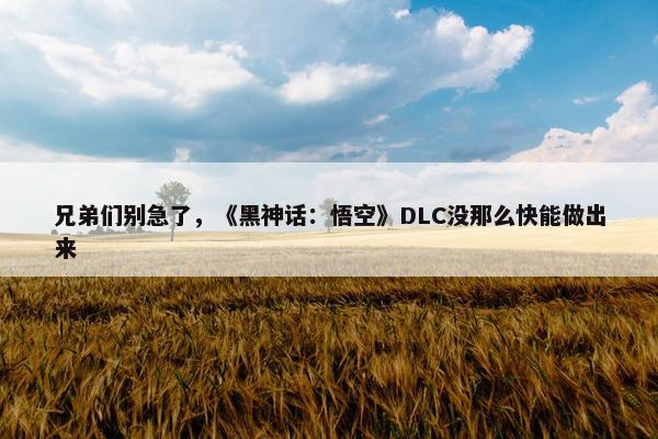 兄弟们别急了，《黑神话：悟空》DLC没那么快能做出来