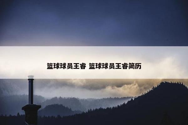 篮球球员王睿 篮球球员王睿简历