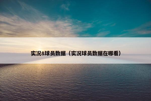 实况8球员数据（实况球员数据在哪看）