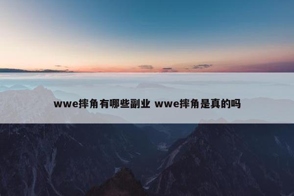 wwe摔角有哪些副业 wwe摔角是真的吗