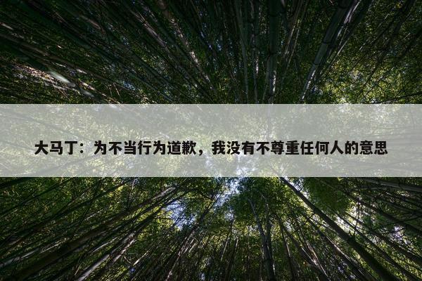 大马丁：为不当行为道歉，我没有不尊重任何人的意思