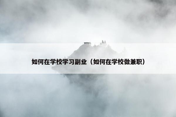 如何在学校学习副业（如何在学校做兼职）