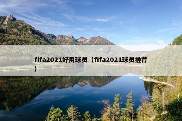 fifa2021好用球员（fifa2021球员推荐）