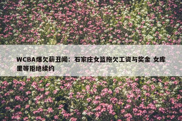 WCBA爆欠薪丑闻：石家庄女篮拖欠工资与奖金 女库里等拒绝续约