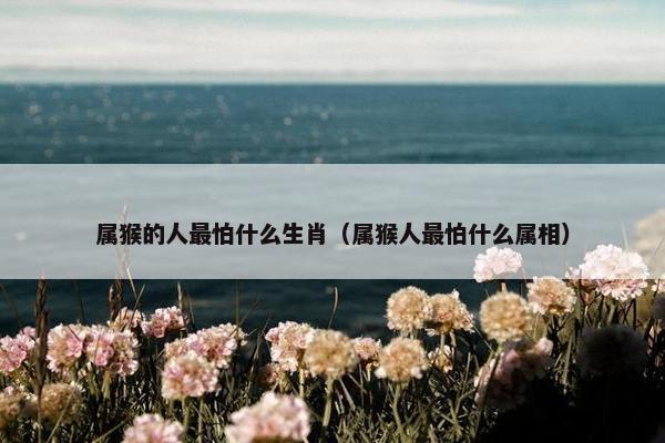 属猴的人最怕什么生肖（属猴人最怕什么属相）