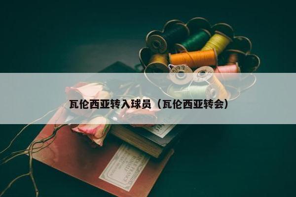 瓦伦西亚转入球员（瓦伦西亚转会）