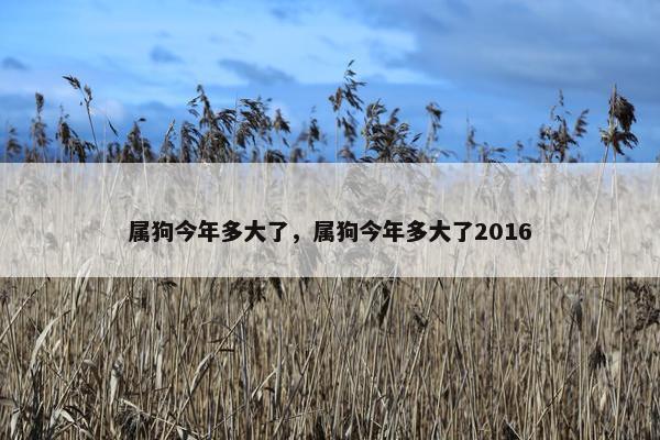 属狗今年多大了，属狗今年多大了2016