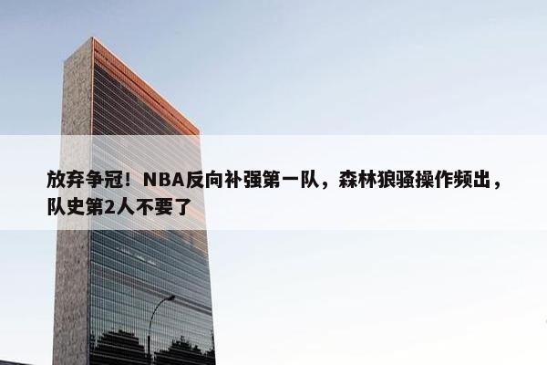 放弃争冠！NBA反向补强第一队，森林狼骚操作频出，队史第2人不要了