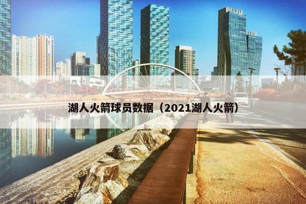 湖人火箭球员数据（2021湖人火箭）