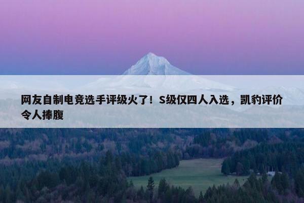 网友自制电竞选手评级火了！S级仅四人入选，凯豹评价令人捧腹