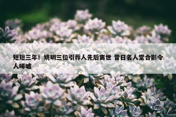 短短三年！姚明三位引荐人先后离世 昔日名人堂合影令人唏嘘