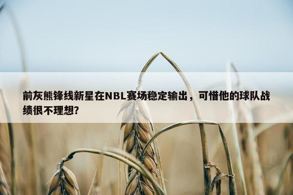 前灰熊锋线新星在NBL赛场稳定输出，可惜他的球队战绩很不理想？