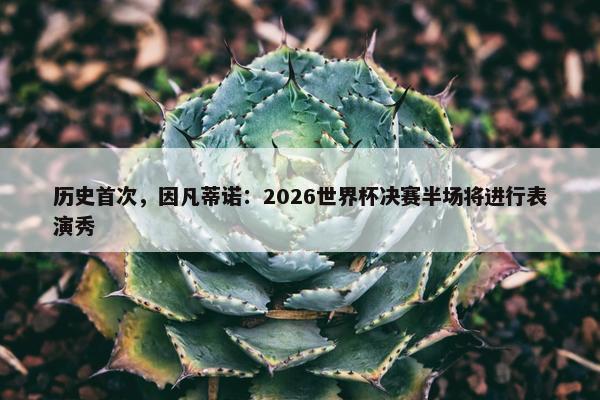 历史首次，因凡蒂诺：2026世界杯决赛半场将进行表演秀