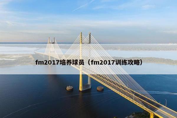 fm2017培养球员（fm2017训练攻略）