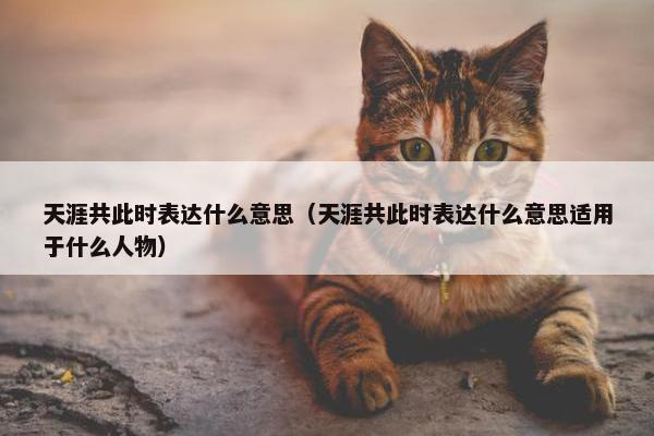 天涯共此时表达什么意思（天涯共此时表达什么意思适用于什么人物）