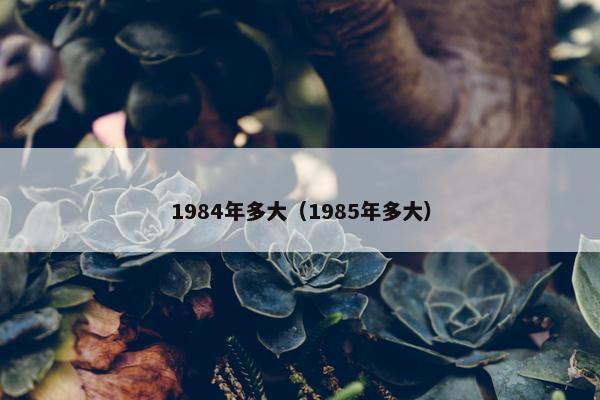 1984年多大（1985年多大）