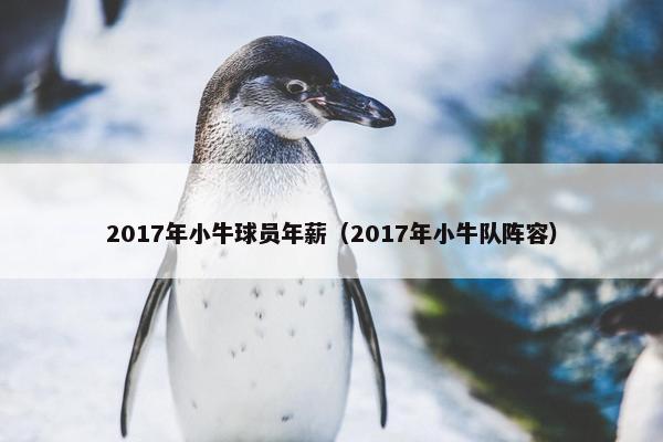 2017年小牛球员年薪（2017年小牛队阵容）