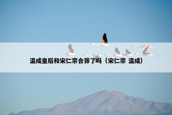 温成皇后和宋仁宗合葬了吗（宋仁宗 温成）